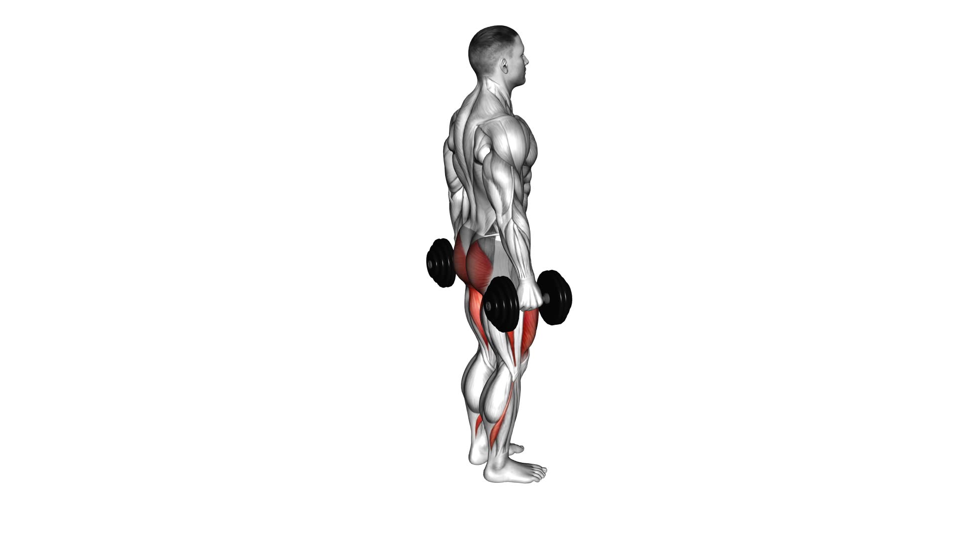 Dumbbell Rear Lunge - Video Exercise Guide & Tips