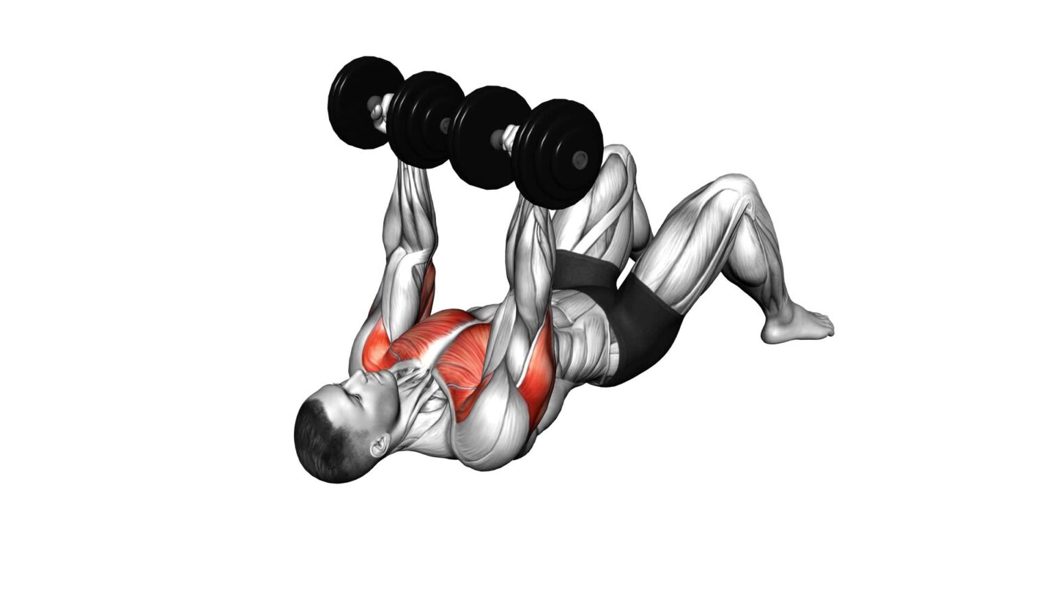 Dumbbell Reverse Press Floor Exercise Guide & Tips [Video]