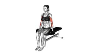 Dumbbell Seated Alternate Biceps Curl (female) - Video Exercise Guide & Tips