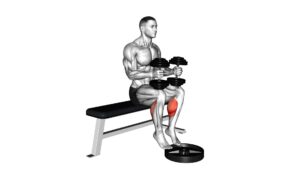 Dumbbell Seated Calf Raise - Video Exercise Guide & Tips