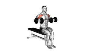 Dumbbell Seated Drag Curl - Video Exercise Guide & Tips