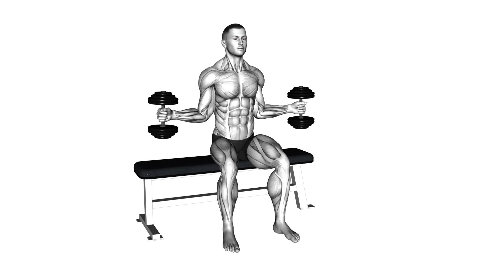 Dumbbell Seated External Rotation (male) - Video Exercise Guide & Tips