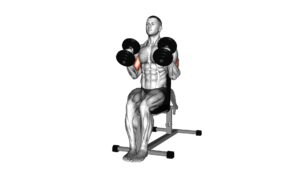 Dumbbell Seated Hammer Curl - Video Exercise Guide & Tips