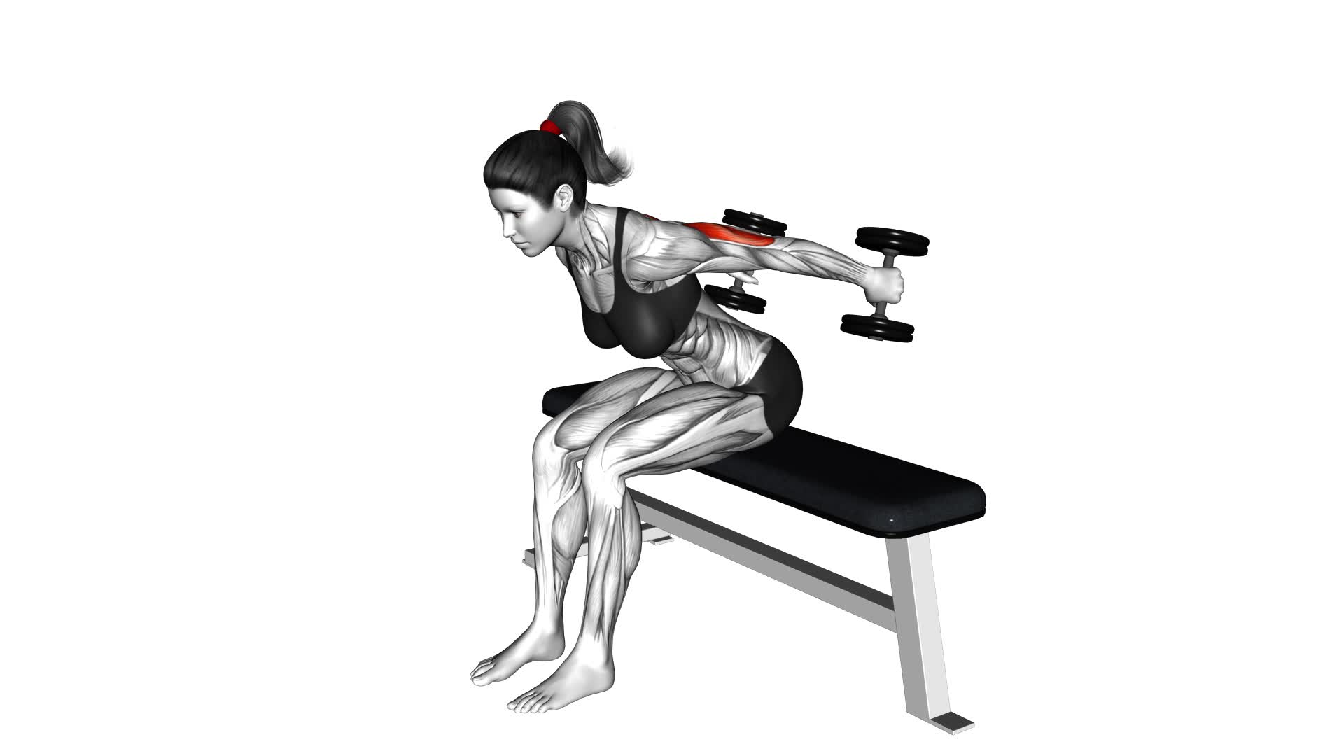 Dumbbell Seated Kickback (female) - Video Exercise Guide & Tips