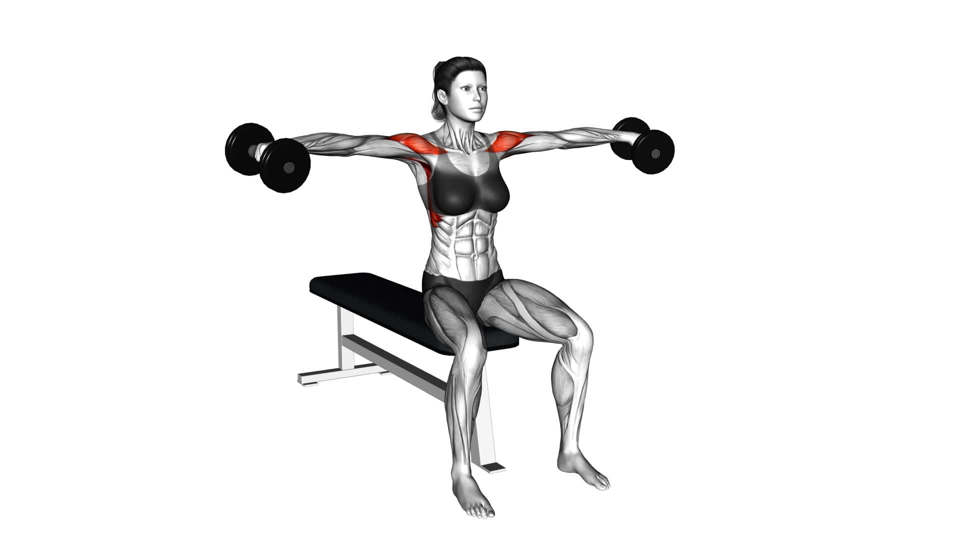 Dumbbell Seated Lateral Raise (female) - Video Exercise Guide & Tips