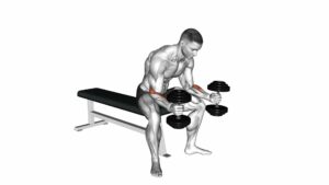Dumbbell Seated Neutral Wrist Curl - Video Exercise Guide & Tips