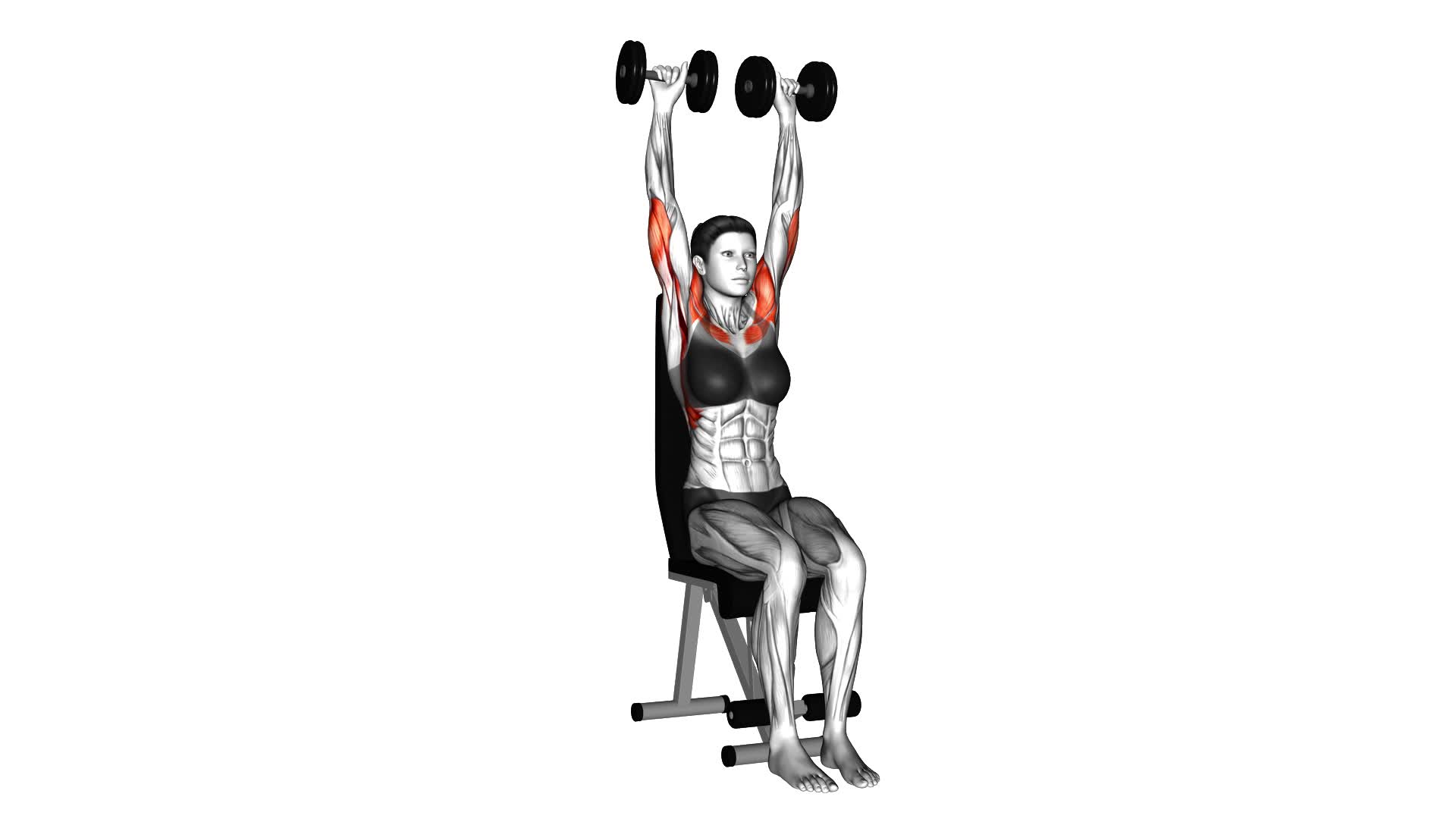 Female Dumbbell Seated Shoulder Press Video Guide And Tips 