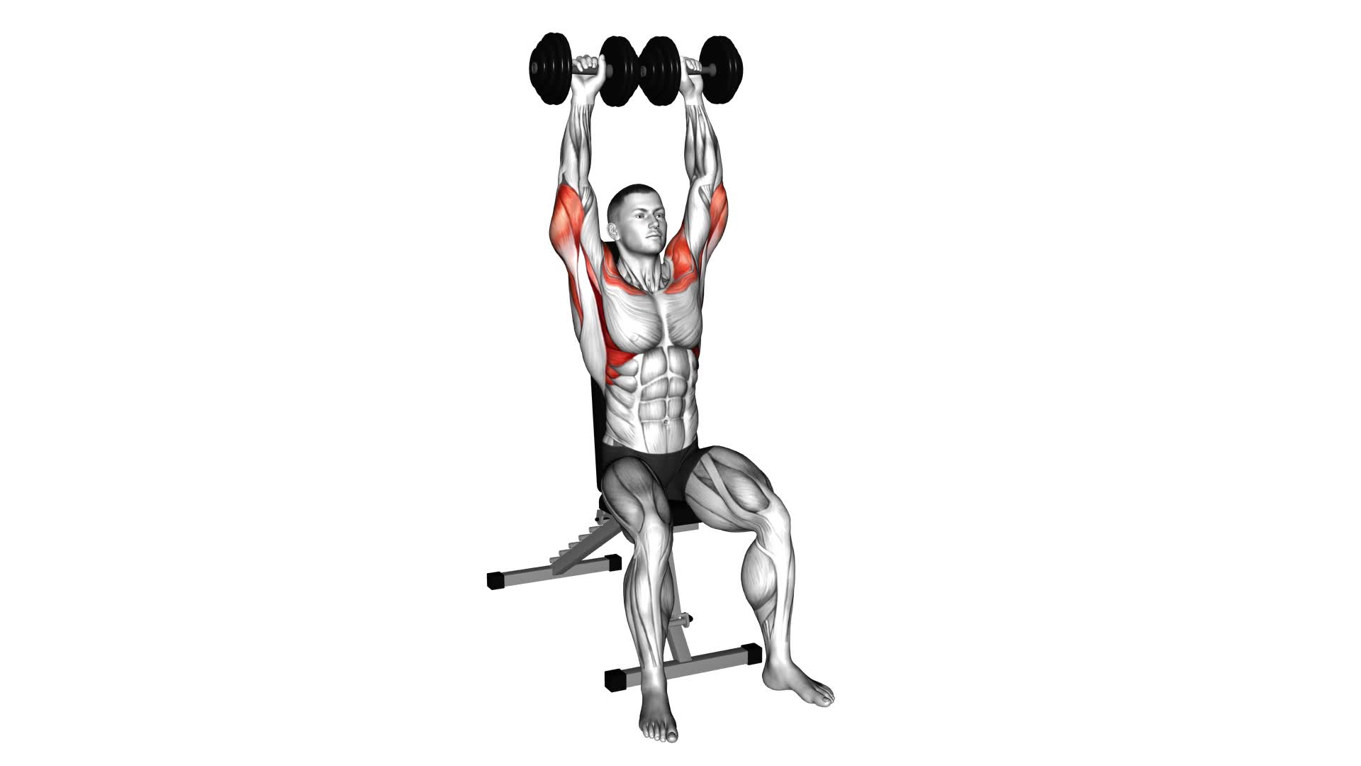 Dumbbell Seated Shoulder Press - Video Exercise Guide & Tips