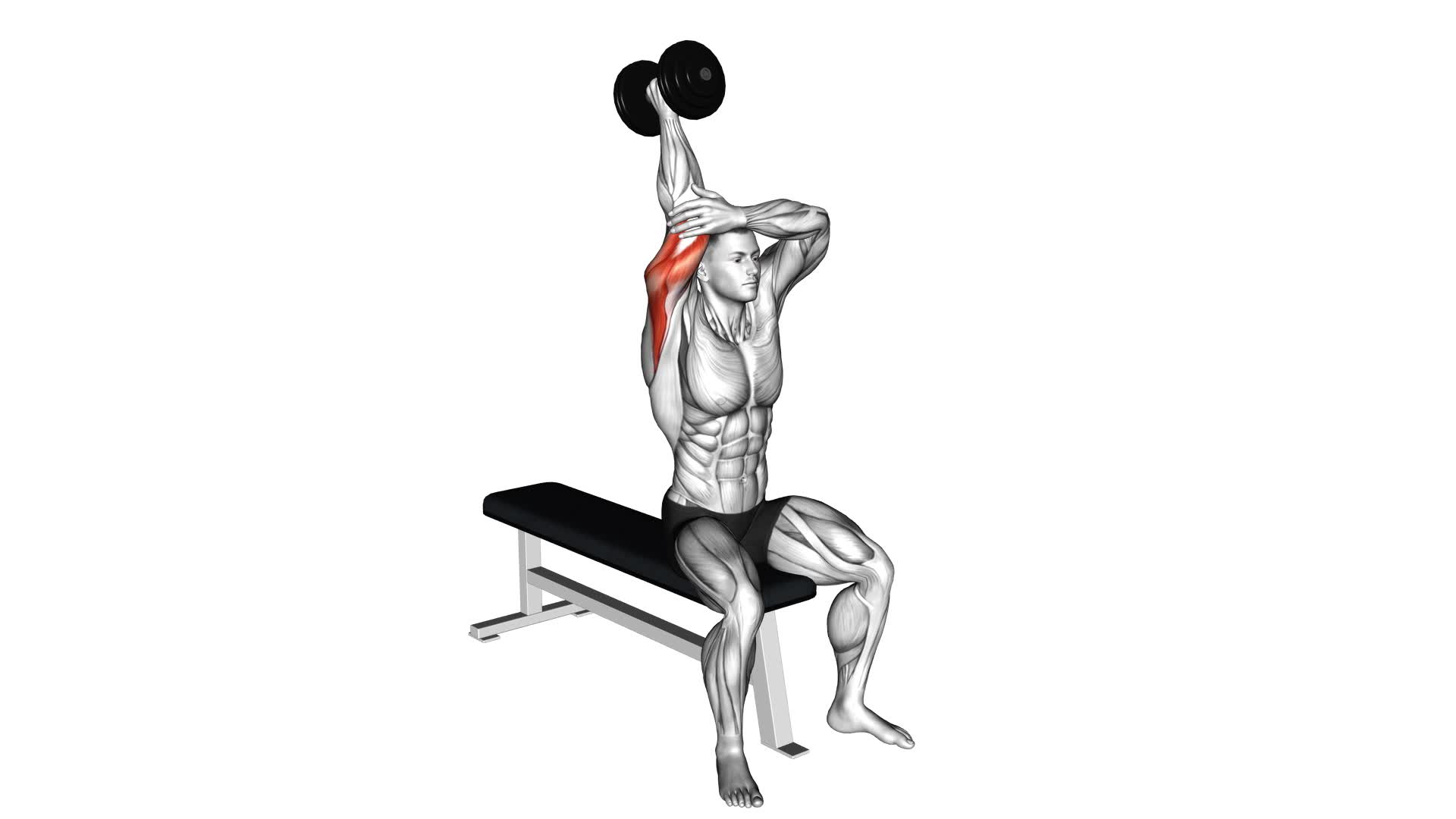 Dumbbell Seated Single Arm Overhead Triceps Extension - Video Exercise Guide & Tips