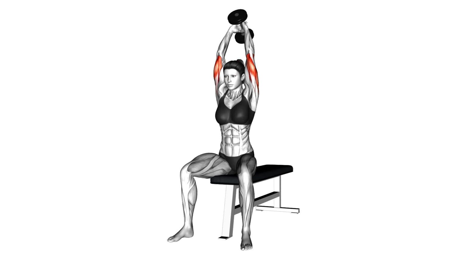 Female Dumbbell Seated Triceps Extension: Video Guide & Tips