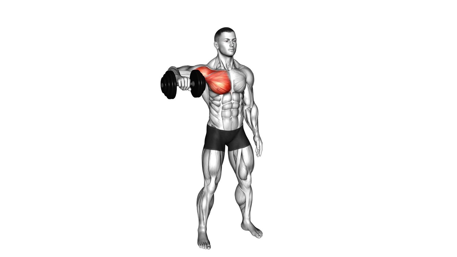 Dumbbell Shoulder Internal Rotation at 90 Abduction - Video Exercise Guide & Tips