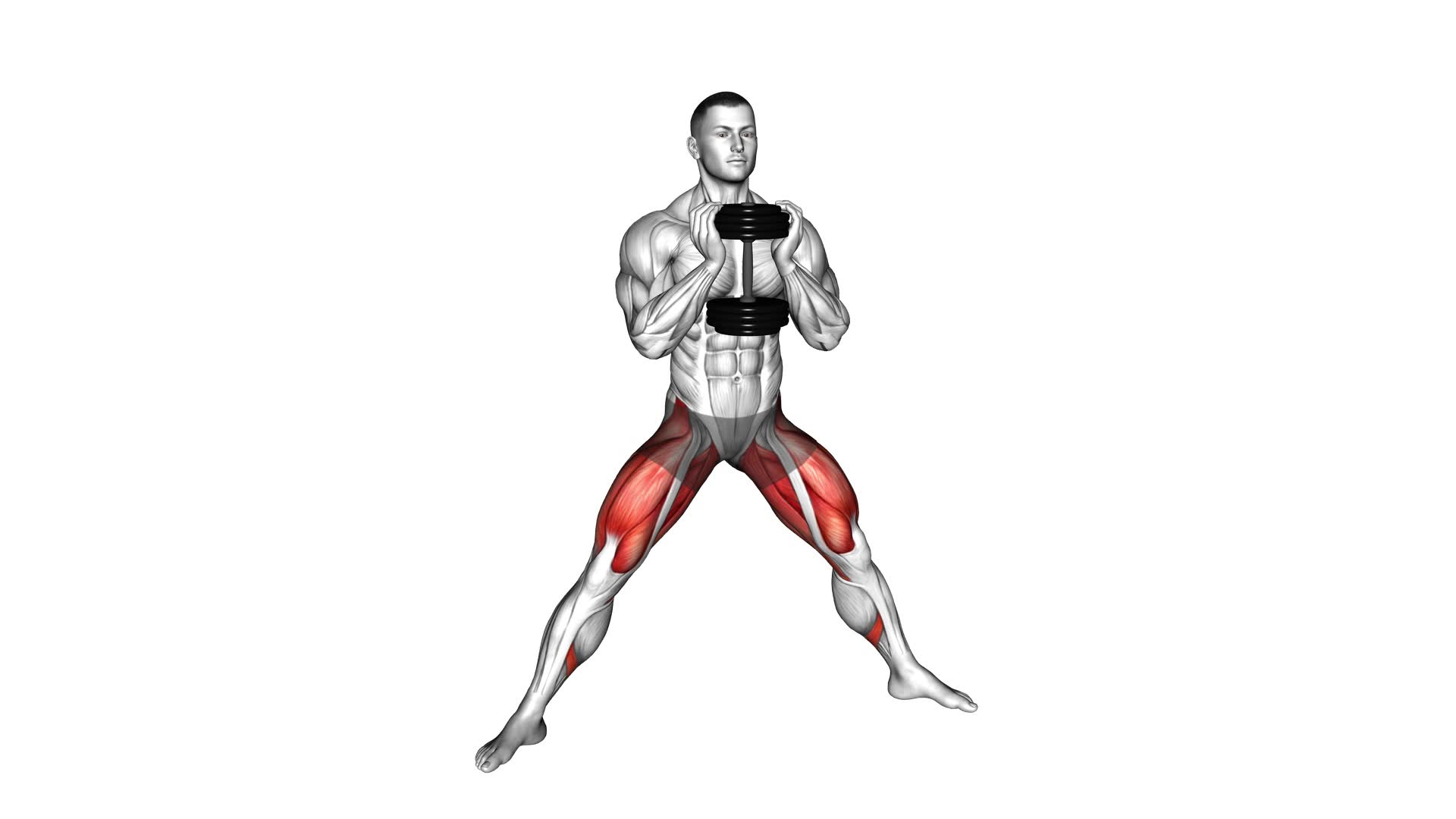 Dumbbell Side Squat - Video Exercise Guide & Tips