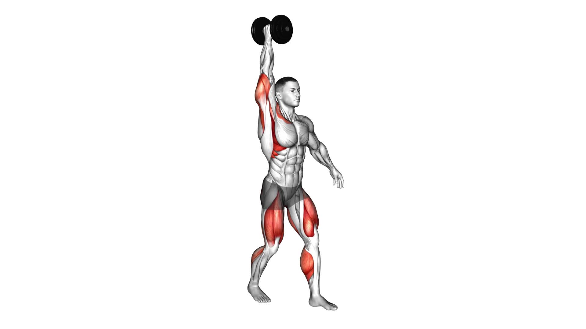Dumbbell Single Arm Overhead Carry - Video Exercise Guide & Tips