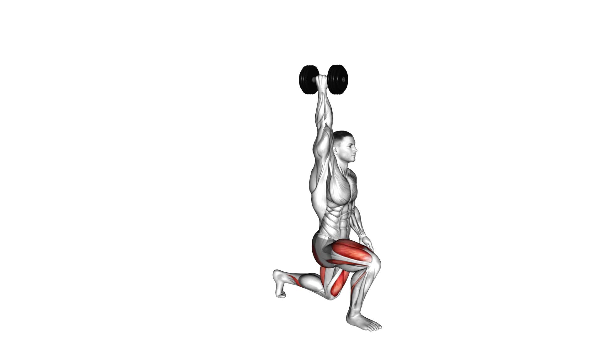 Dumbbell Single Arm Overhead Lunge - Video Exercise Guide & Tips