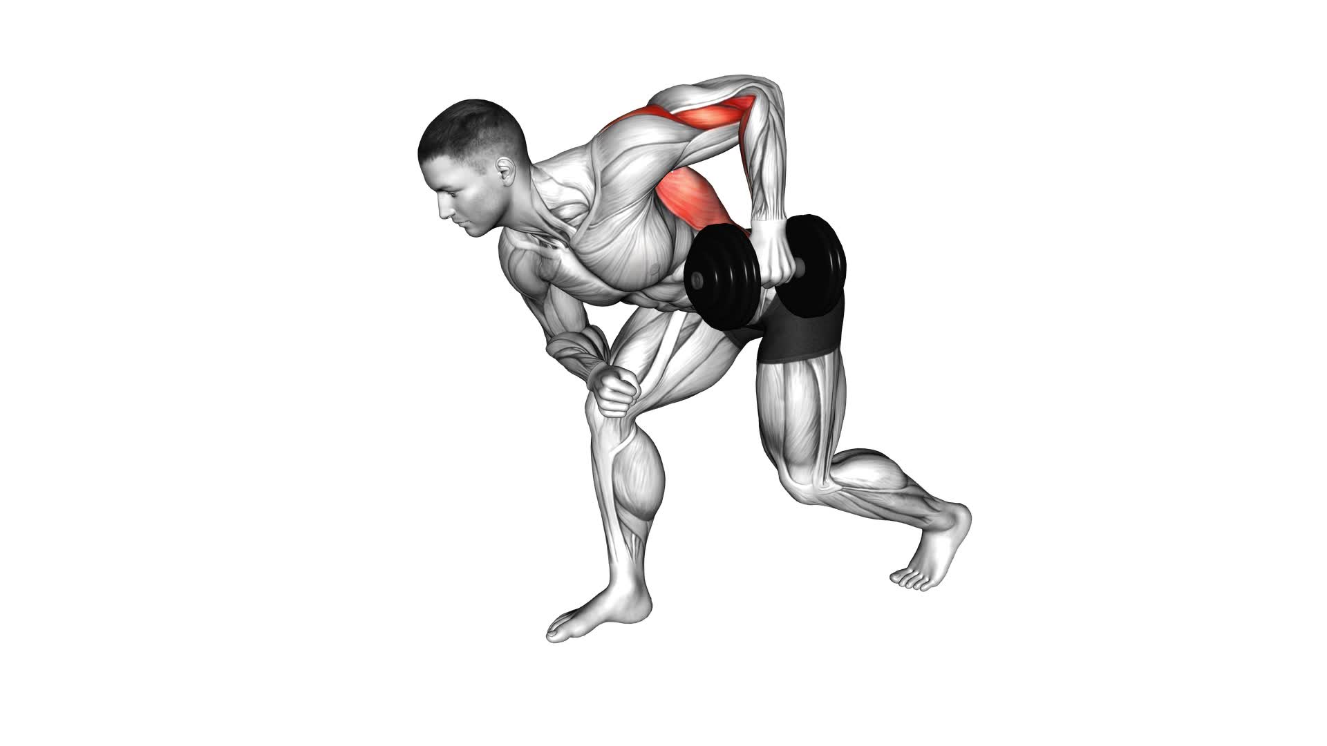 Dumbbell Split Stance Bent Over Row (male) - Video Exercise Guide & Tips