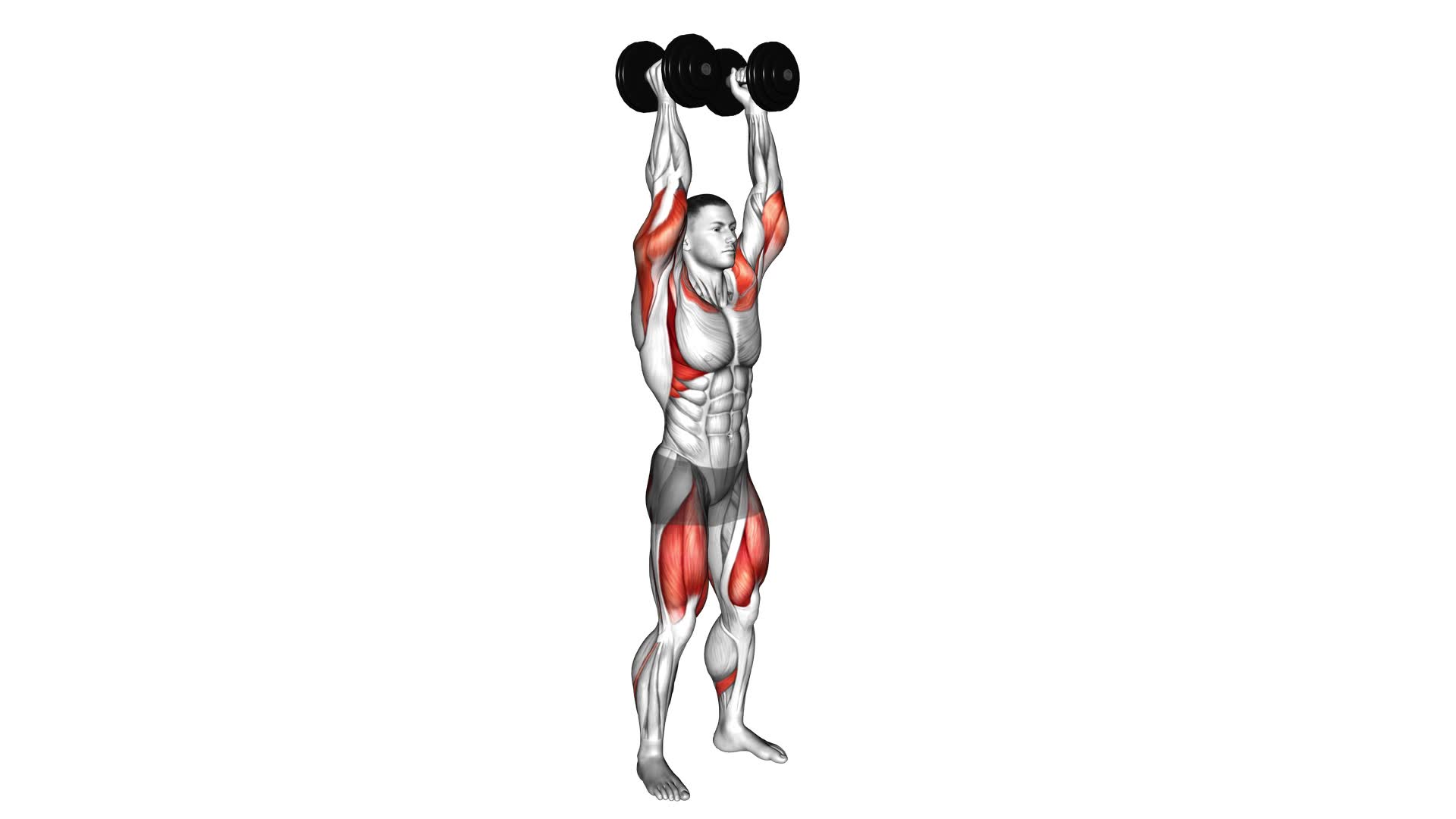 Dumbbell Squat to Overhead Press - Video Exercise Guide & Tips