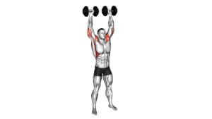 Dumbbell Standing Arnold Press (male) - Video Exercise Guide & Tips