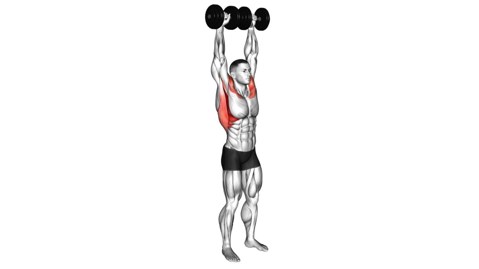 Dumbbell Standing Around World: Ultimate Exercise Guide & Tips