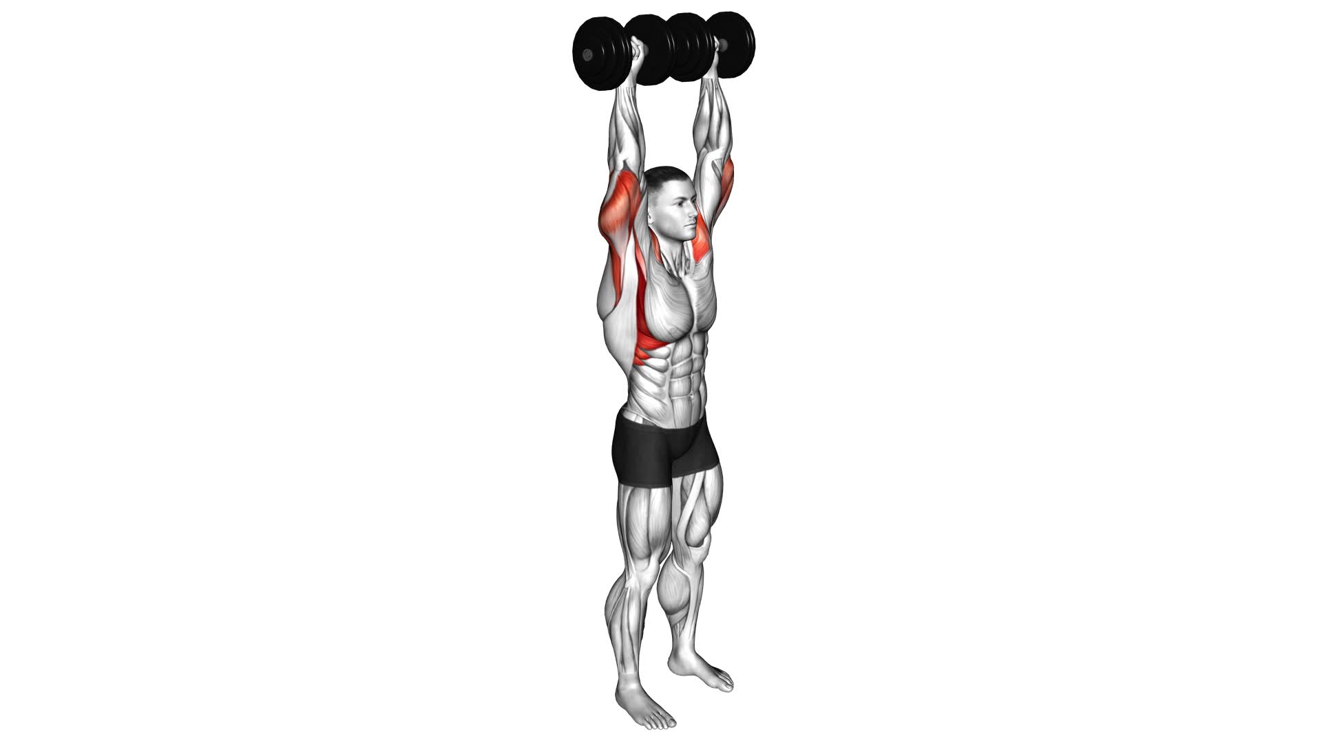 Dumbbell Standing Behind Back Shoulders Press - Video Exercise Guide & Tips