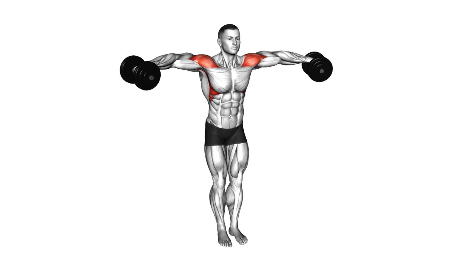 Dumbbell Bent Arm Lateral Raise (Male) - Video Guide & Tips