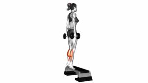 Dumbbell Standing Calf Raise (female) - Video Exercise Guide & Tips