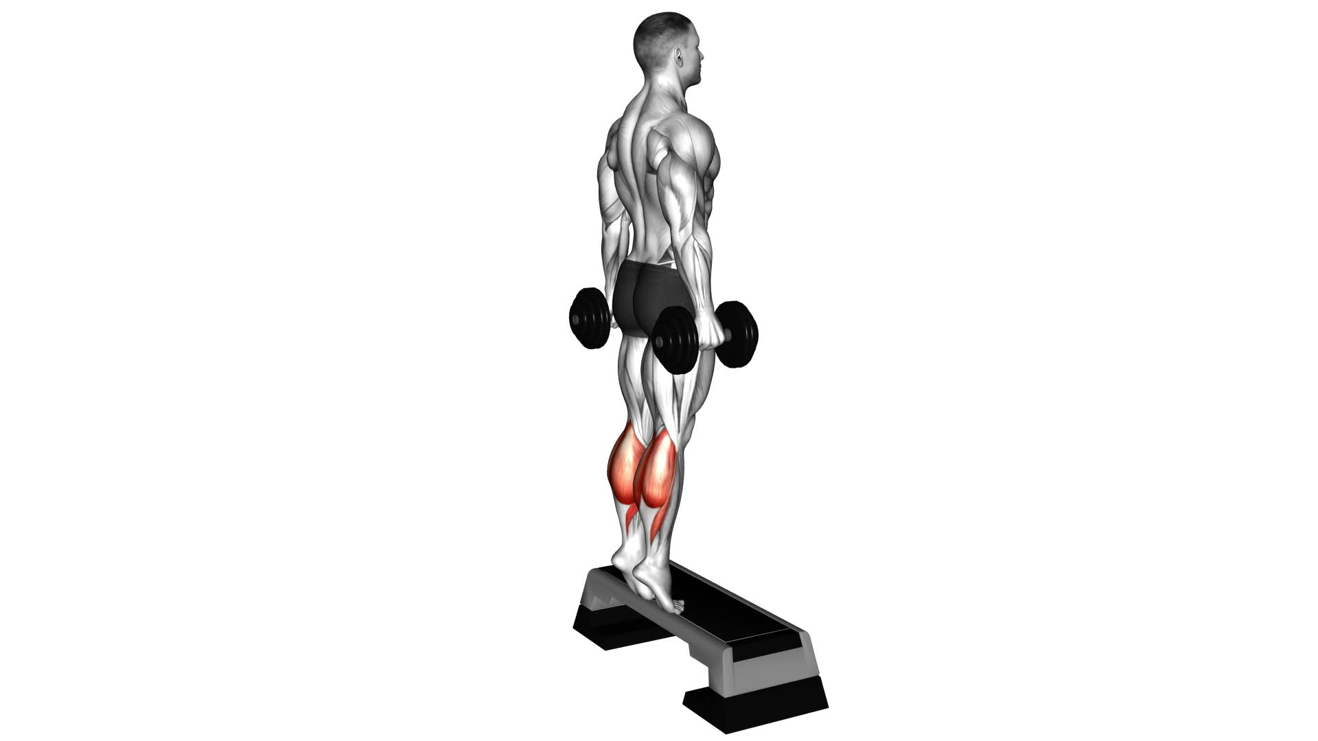 Dumbbell Standing Calf Raise - Video Exercise Guide & Tips