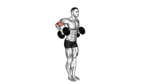 Dumbbell Standing Drag Curl (VERSION 2) - Video Exercise Guide & Tips