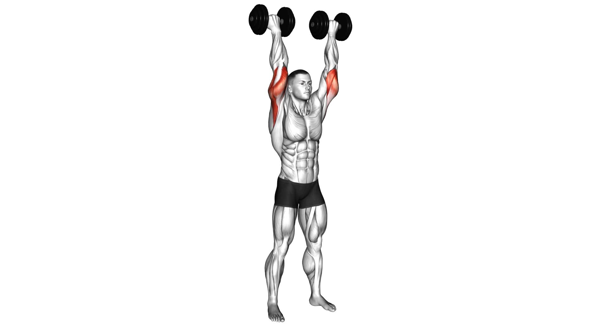 Dumbbell Standing French Press - Video Exercise Guide & Tips