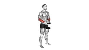 Dumbbell Standing Hands Torsion (male) - Video Exercise Guide & Tips