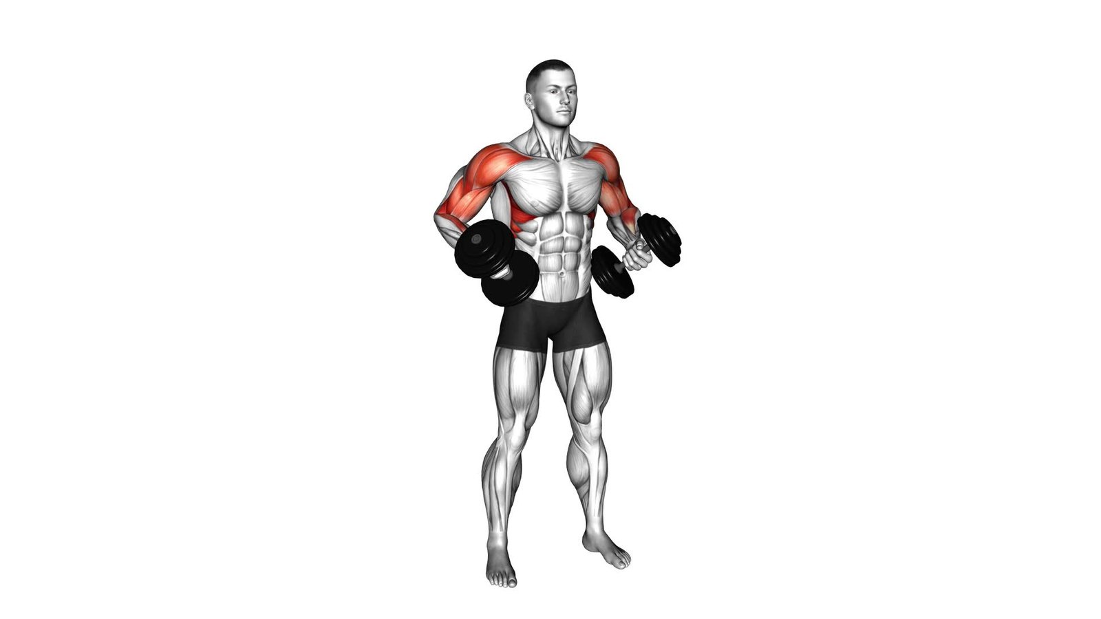 Dumbbell Standing Hip Hugger (male) - Video Exercise Guide & Tips