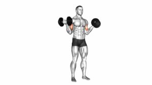 Dumbbell Standing Inner Biceps Curl (version 2) - Video Exercise Guide & Tips