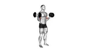 Dumbbell Standing Inner Biceps Curl - Video Exercise Guide & Tips