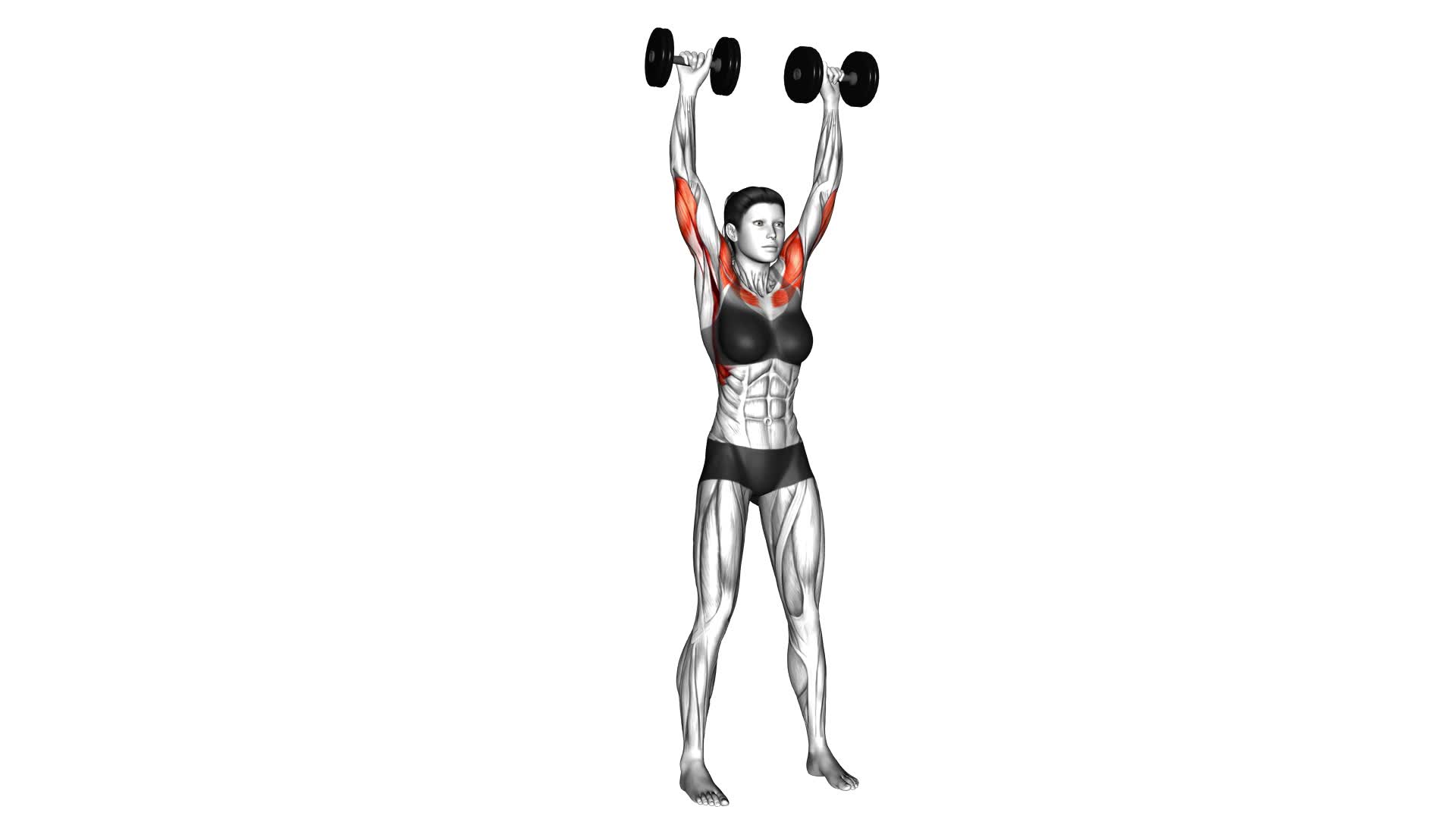 Dumbbell Standing Overhead Press (female) - Video Exercise Guide & Tips