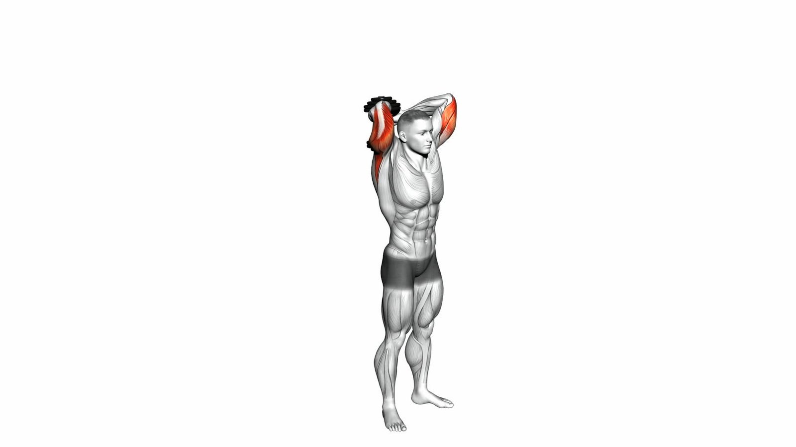 Dumbbell Standing Triceps Extension - Video Exercise Guide & Tips