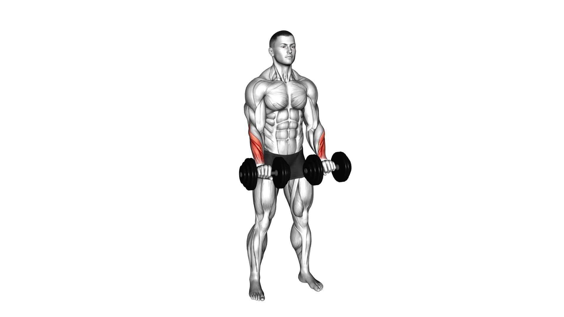 Dumbbell Standing Wrist Reverse Curl - Video Exercise Guide & Tips