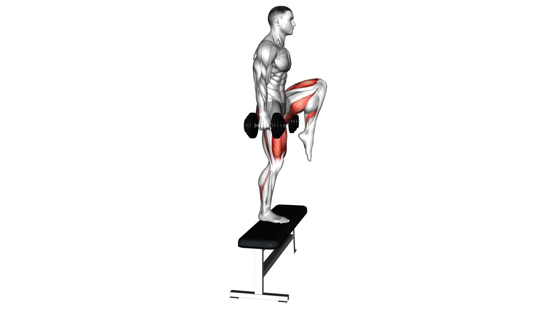 Dumbbell Step-Up With Knee Raise - Video Exercise Guide & Tips