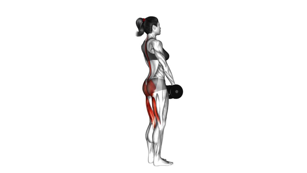 Female Dumbbell Stiff Leg Deadlift: Video Guide & Tips