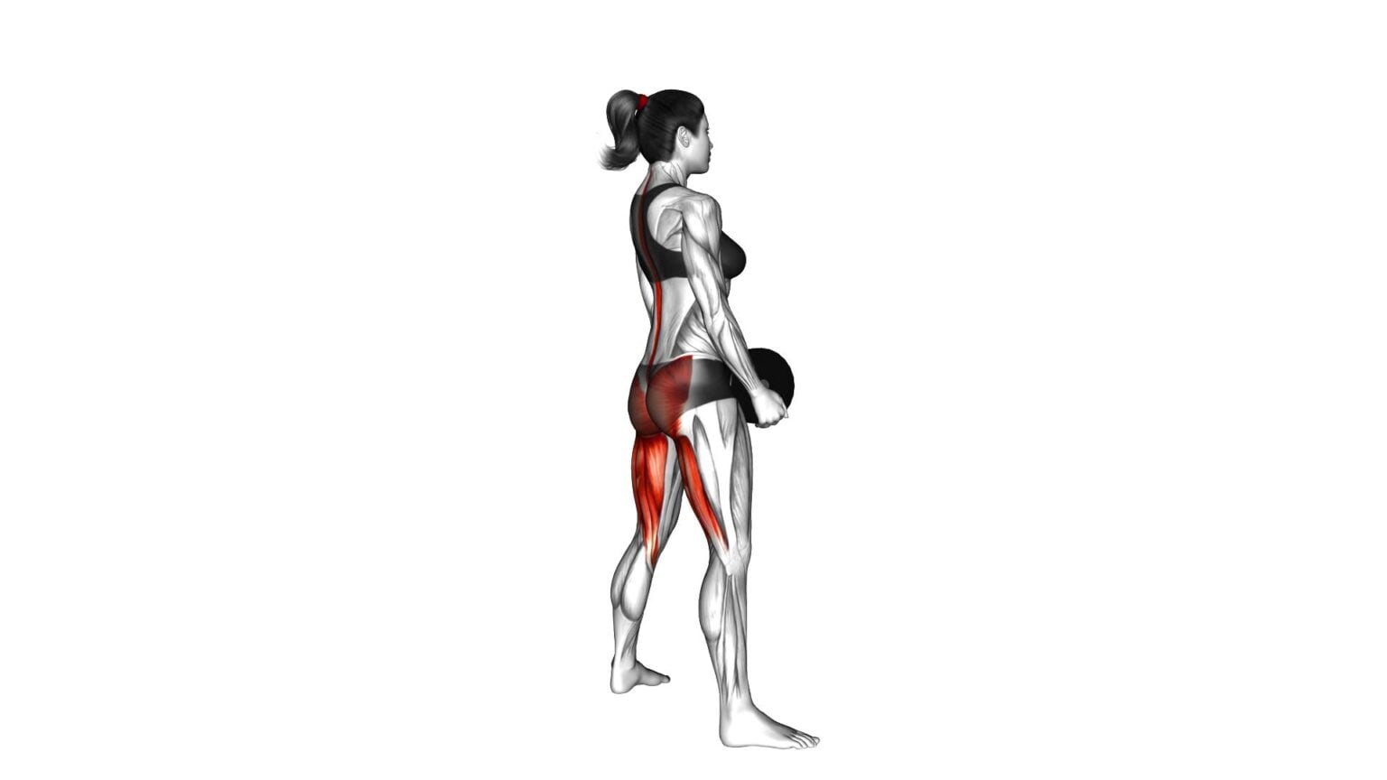 Dumbbell Sumo Pull Through: Female Video Guide & Tips