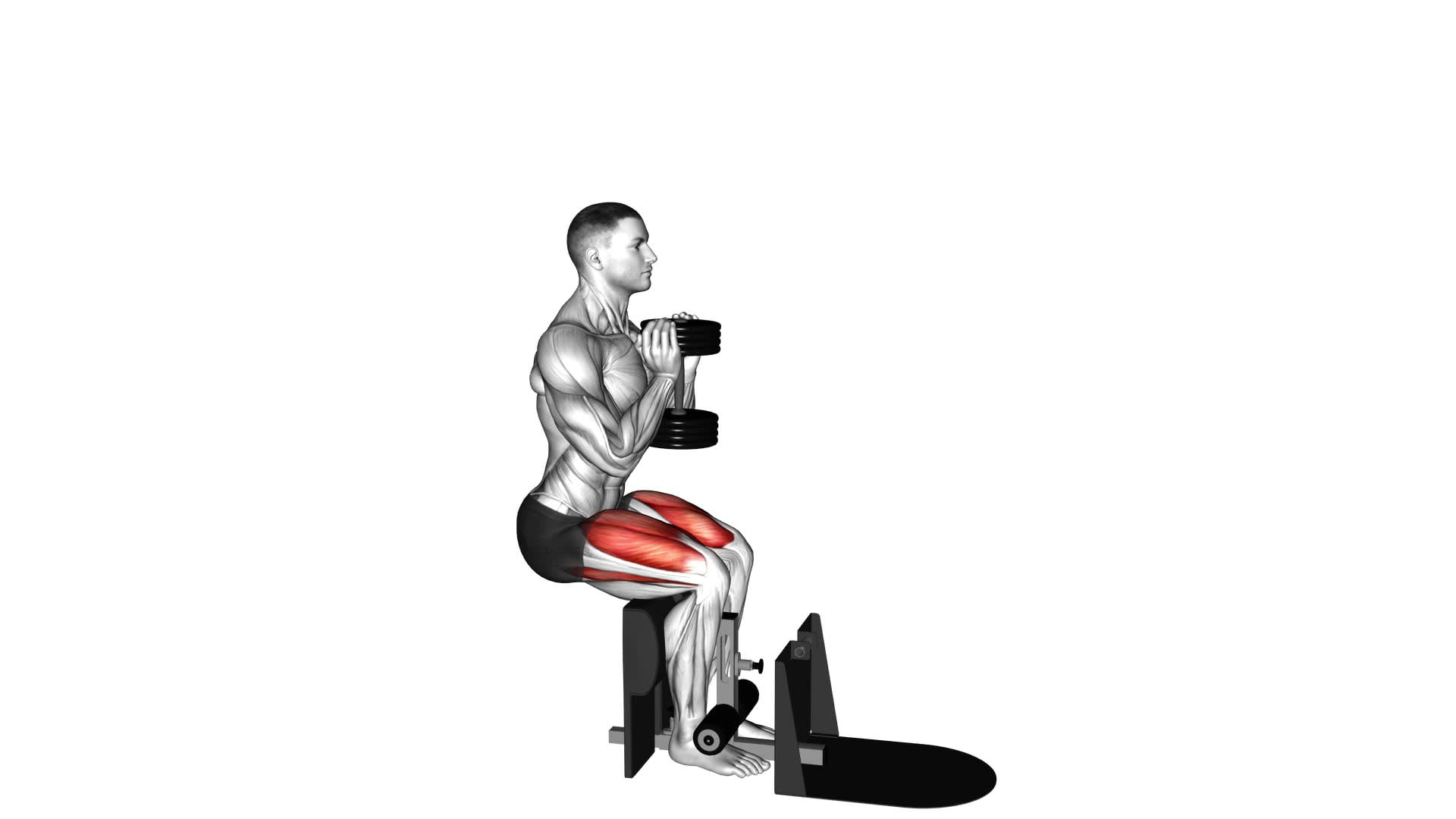 Dumbbell Supported Squat - Video Exercise Guide & Tips