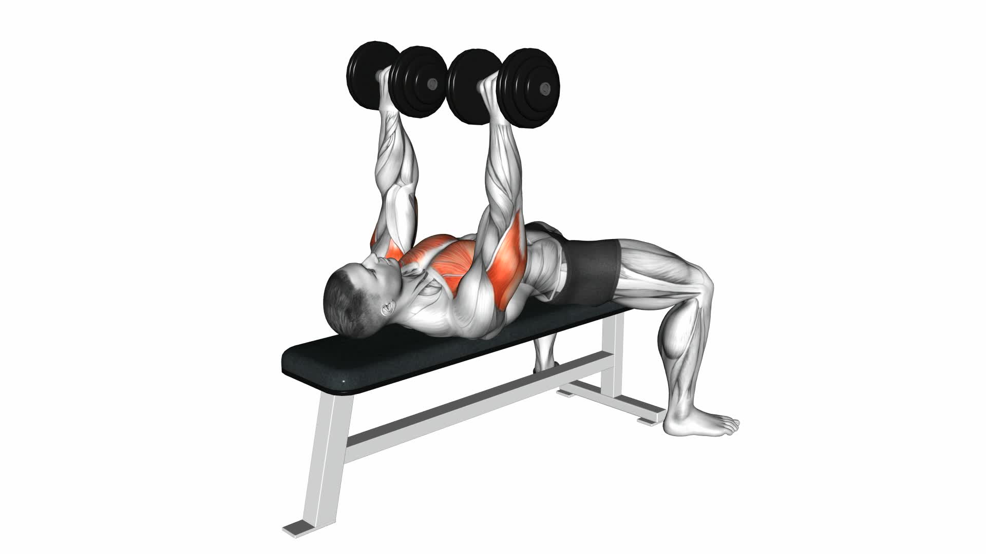 Dumbbell Tate Press - Video Exercise Guide & Tips