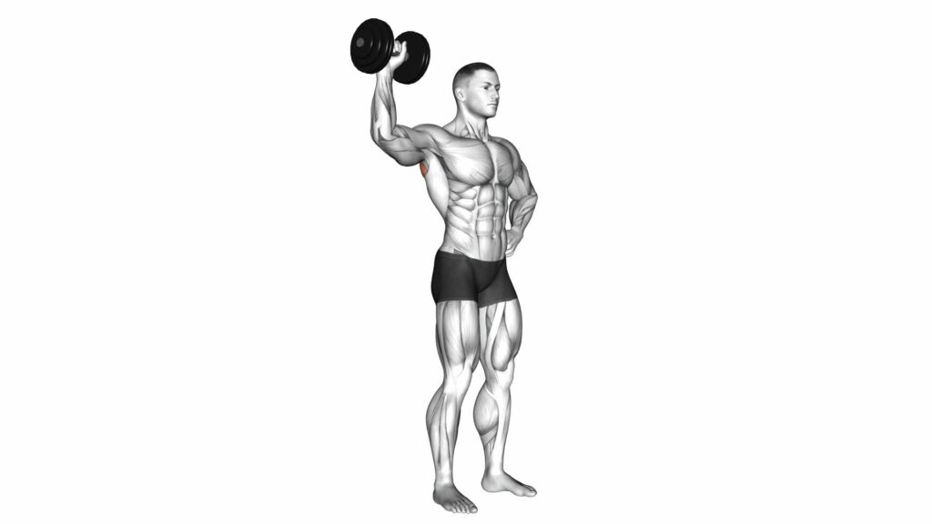 Dumbbell Upright Shoulder External Rotation - Exercise Guide & Tips