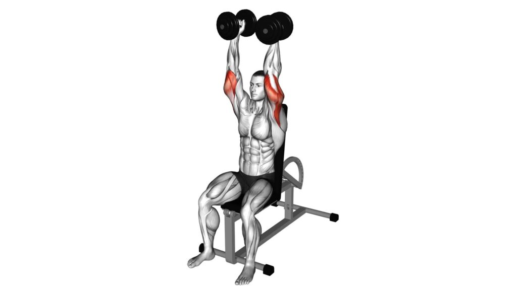 Dumbbells Seated Triceps Extension Video Guide And Tips