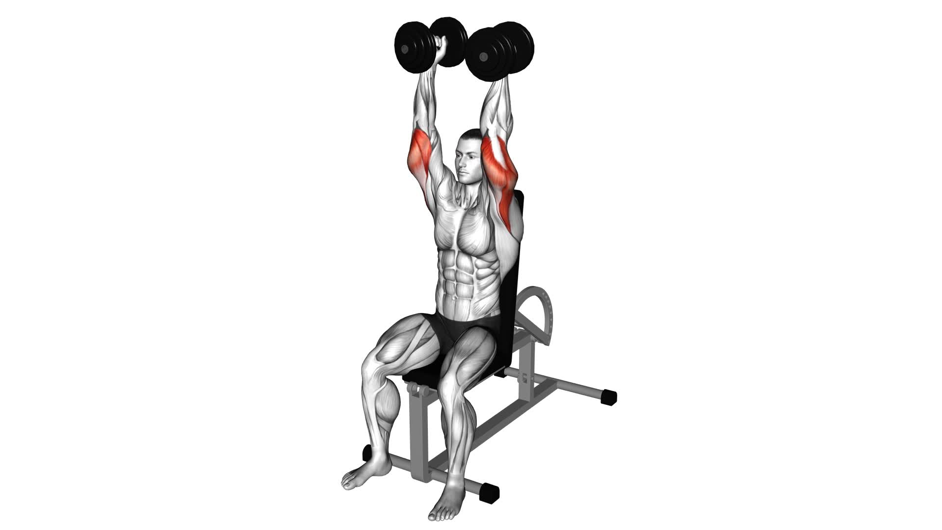 Dumbbells Seated Triceps Extension - Video Exercise Guide & Tips
