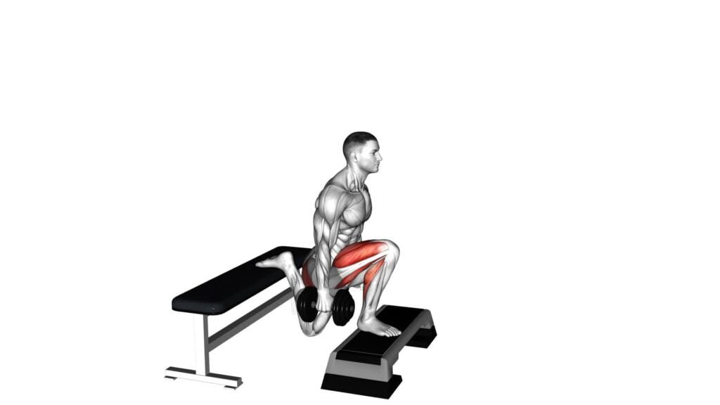 Dumbbell Bulgarian Split Squat (female) - Exercise Guide & Tips