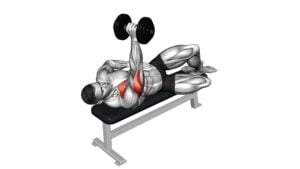 Dumbell One Arm Side Lying Bench Press (male) - Video Exercise Guide & Tips