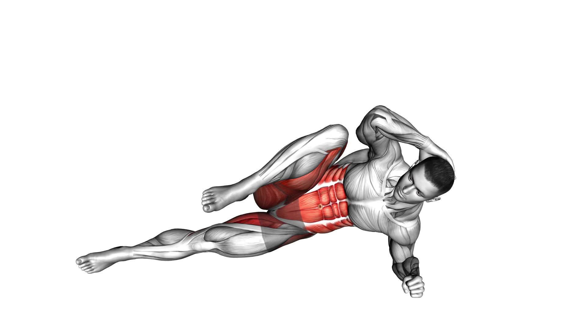 Elbow to Knee Side Plank Crunch (male) - Video Exercise Guide & Tips