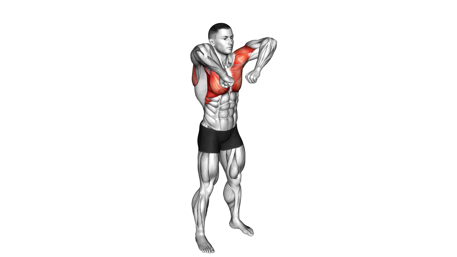 Elbow Touch and Lift (male) - Video Exercise Guide & Tips