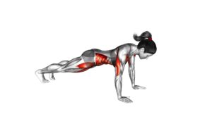 Elbow-Up and Down Dynamic Plank (female) - Video Exercise Guide & Tips