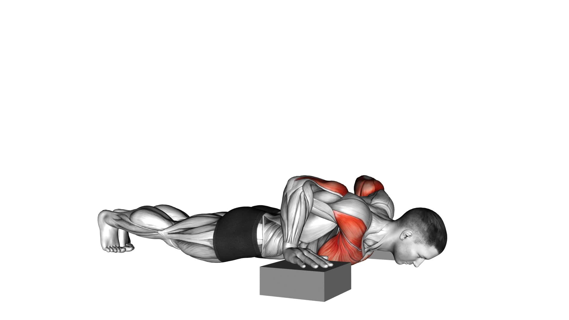 Elevanted Push-Up - Video Exercise Guide & Tips