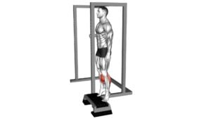 Elevated Standing Calf Raise - Video Exercise Guide & Tips